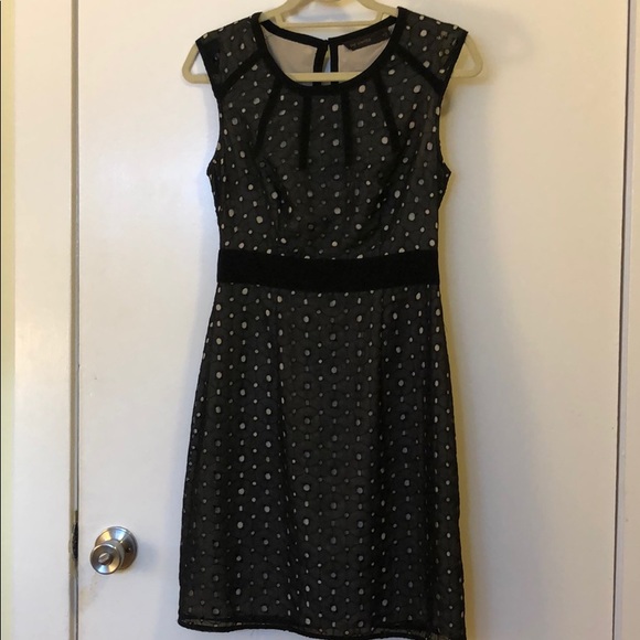 The Limited Dresses & Skirts - The Limited Black and Tan Printed Shift Dress